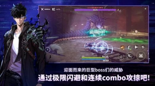 我独自升级arise中文版