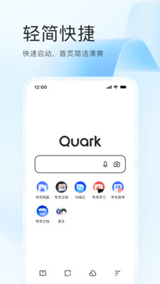 quark