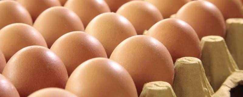 立鸡蛋是生的还是熟的