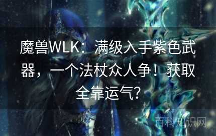 魔兽WLK：满级入手紫色武器，一个法杖众人争！获取全靠运气？