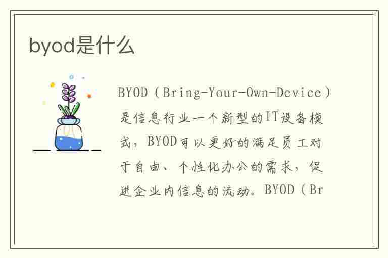 byod是什么