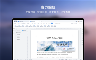 WPS Office Mac