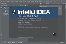 IntelliJ IDEA2021