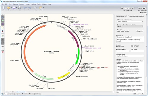 SnapGene