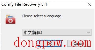 Comfy File Recovery