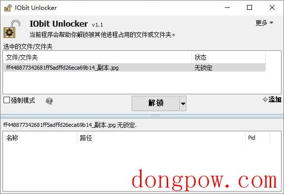 IObit Unlocker