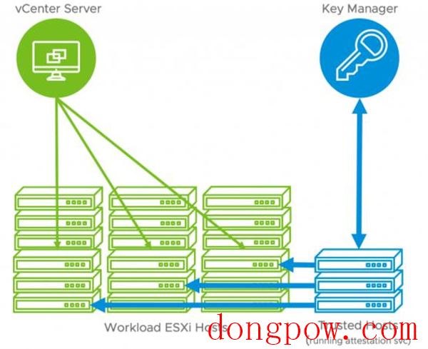 VMware Esxi