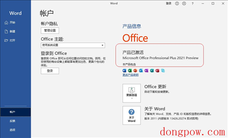 Microsoft Office 2021