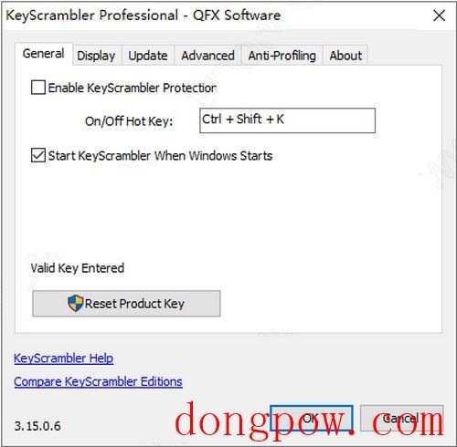 KeyScrambler Professional