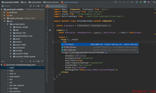 JetBrains WebStorm