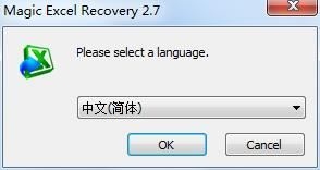 Magic Excel Recovery