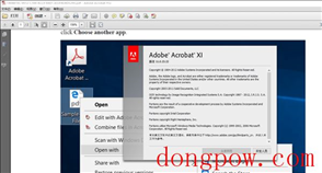 Adobe Acrobat XI