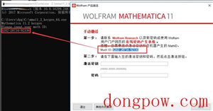 Mathematica