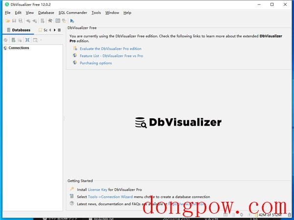 DbVisualizer Pro