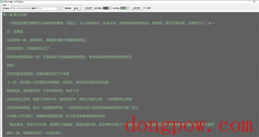 电脑Txt小说阅读器