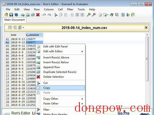 Rons CSV Editor