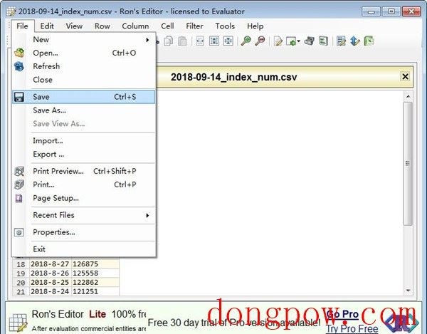 Rons CSV Editor