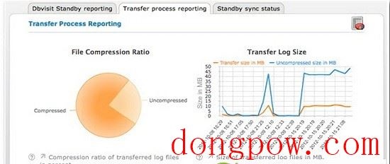 Dbvisit Standby Oracle