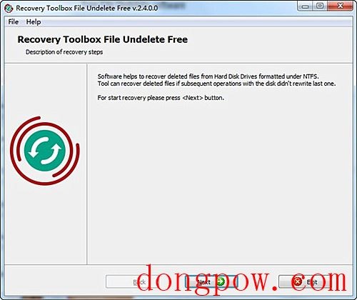 Recovery Toolbox File Undelete Free