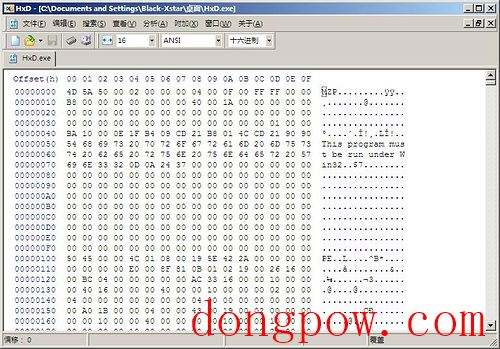 HxD Hex Editor