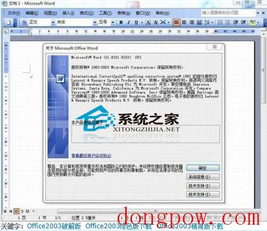 Office2003精简版