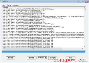 Viewurl(上网记录查询工具) V3.0