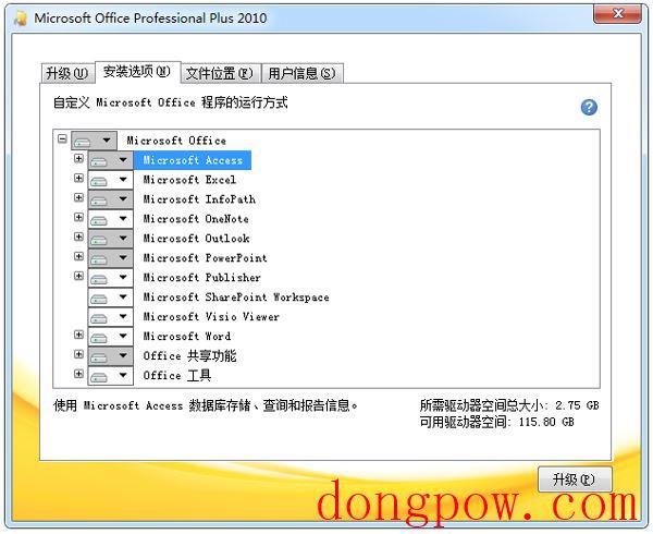 Microsoft Office Access 2010(附密钥)