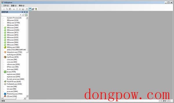WSExplorer(进程抓包软件) V1.3 绿色版