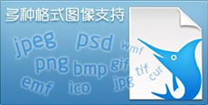 Dorado标注工具 V1.1绿色版