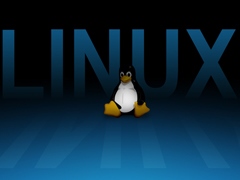 Unix/Linux中如何直接执行PHP脚本文件？