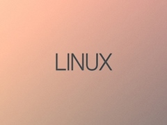 Linux系统下如何制作Live USB？