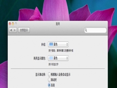 如何找出Mac OS X Lion消失的滚动条