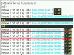 Linux虚拟机的设备id与盘符不相符怎么办？