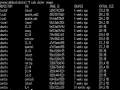 在Linux系统中如何使Docker镜像变小