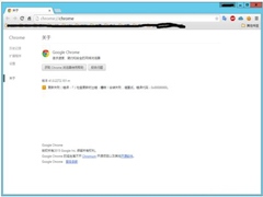 如何解决Win8系统Chrome更新失败错误代码0X00000000的问题？