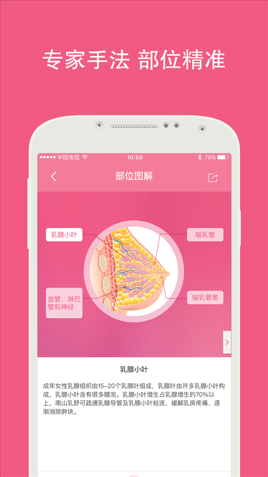 南山乳舒 v0.9.1008