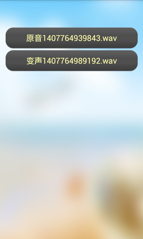 高保真录音变声器 v1.0