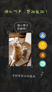 萌宠相机 v1.9