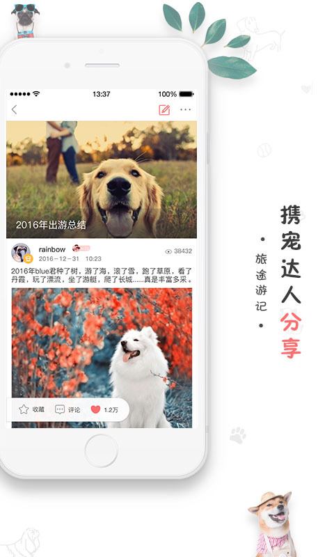 狗狗去哪儿 v4.5.0