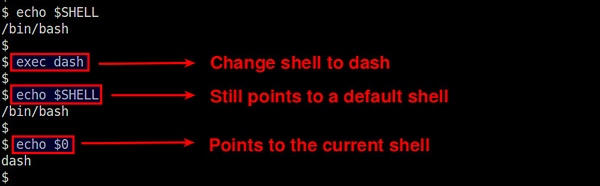 如何查阅Linux系统正在使用的Shell版本？