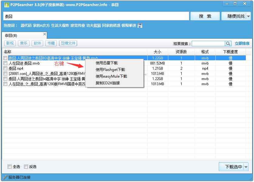 P2PSearcher迅雷种子搜索器 V3.5 绿色版