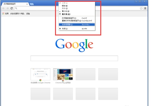 谷歌浏览器(Google Chrome) V58.0.3029.110