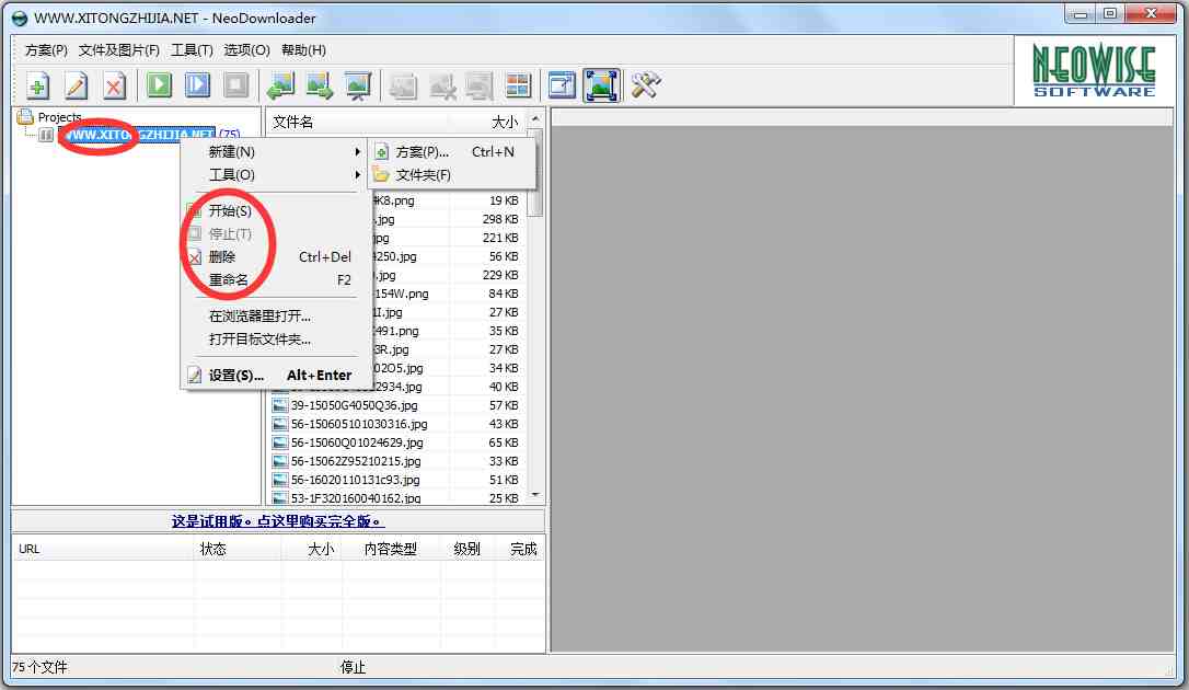 NeoDownloader(超快速抓图工具) V2.3c 绿色汉化版