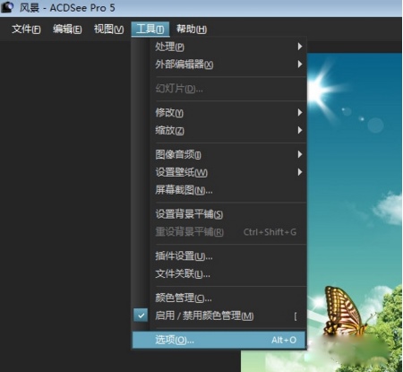 ACDSee5 V5.0 破解版