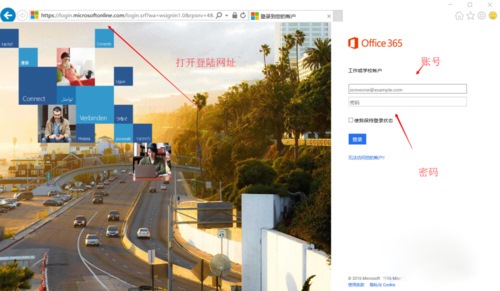 Office 365(微软云办公软件)