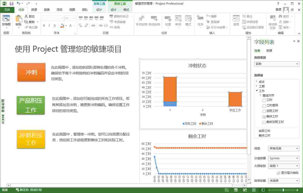 Microsoft Office Project Pro 2007 简体中文版