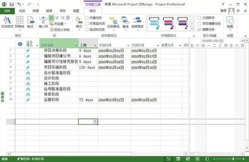 Microsoft Office Project Pro 2007 简体中文版