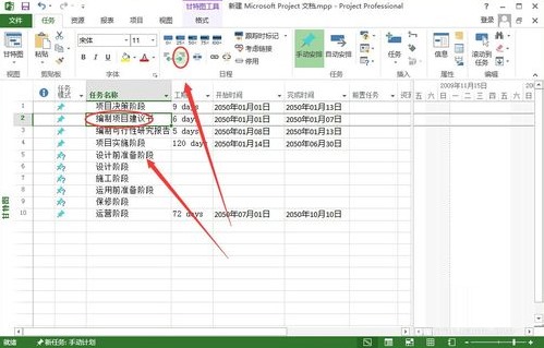 Microsoft Office Project Pro 2007 简体中文版