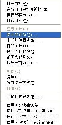 WinXP如何保存网页图片？保存网页图片的详细方法