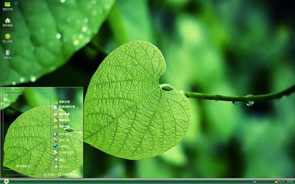 雨后清新绿叶xp主题